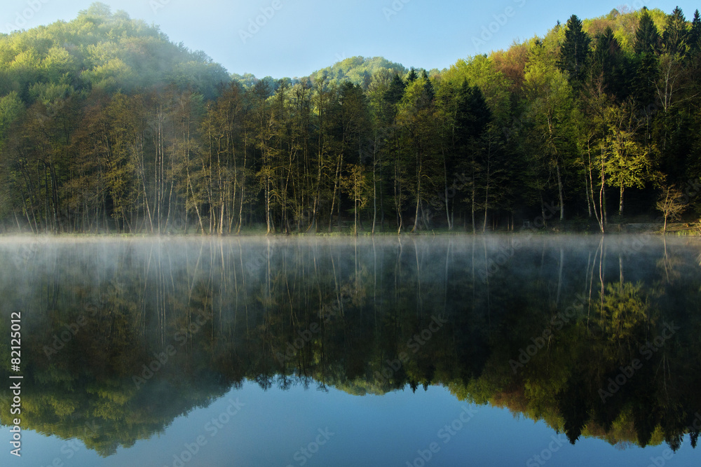 Forest reflecting in water on Tracoscan lake in Zagorje, Croatia