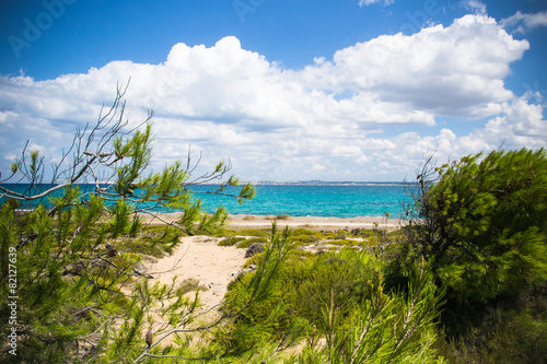 Tableau sur toile wild coast of Sardinia