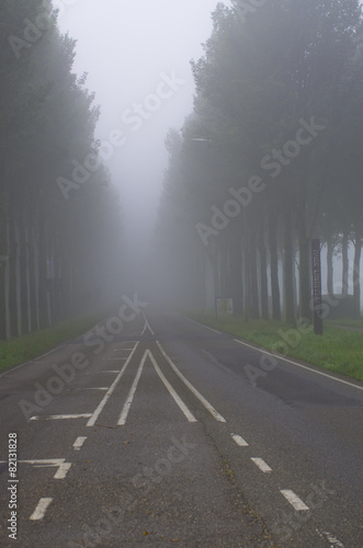 Foggy abandoned road