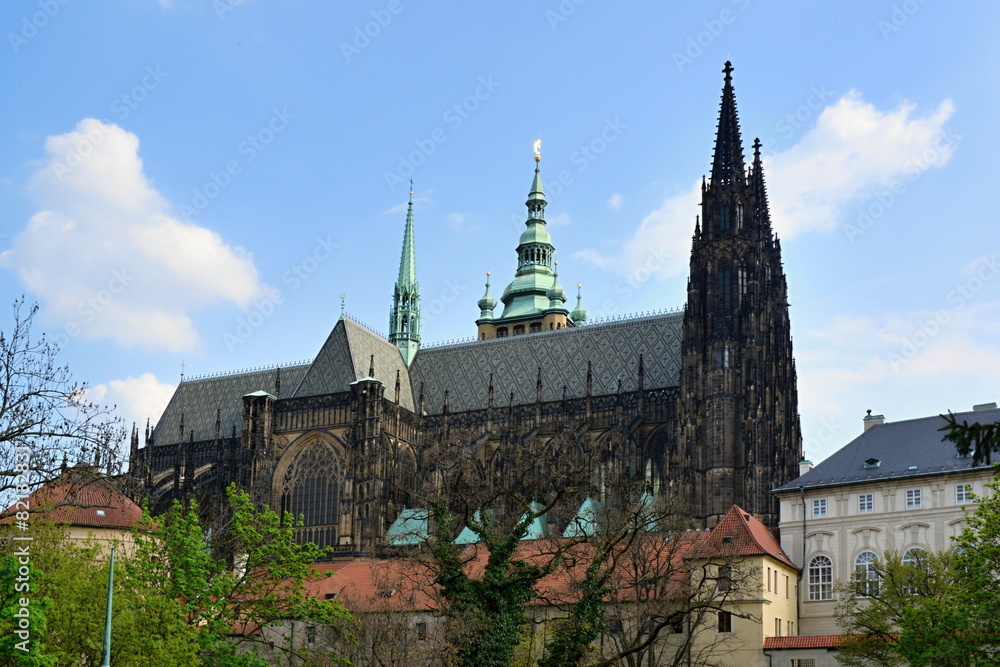 Fototapeta premium st. Vit cathedral in area of Prague castle