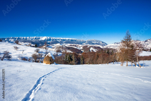 Typical winter scenic view with hayracks © PixAchi