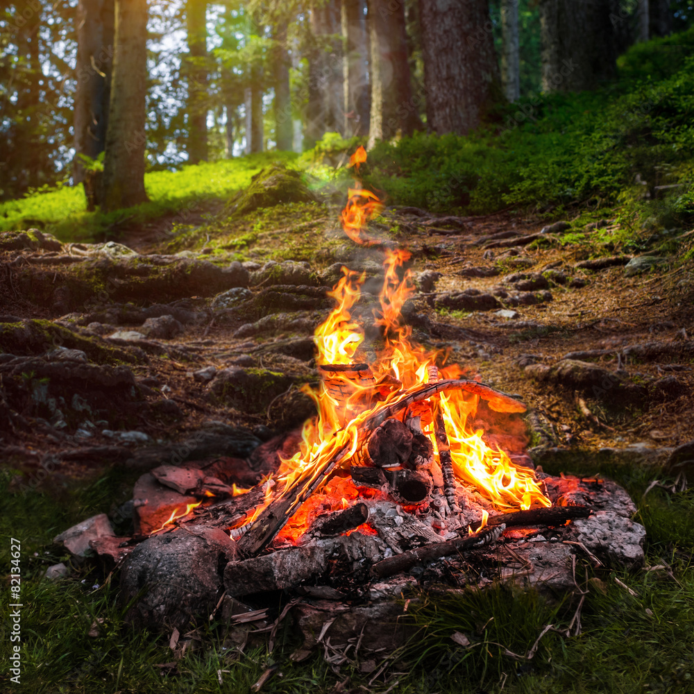 Lagerfeuer im Wald Stock Photo Adobe Stock