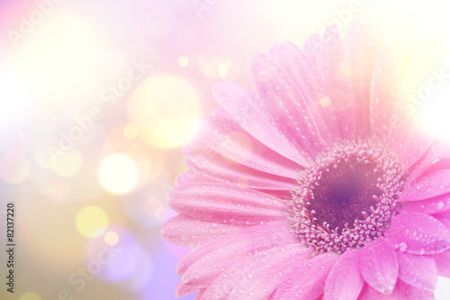 Fototapeta Naklejka Na Ścianę i Meble -  Vintage Gerbera daisy background