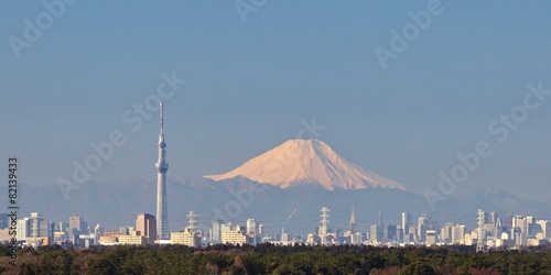 Photography Tokyo city view with Tokyo sky tree and Mountain Fuji