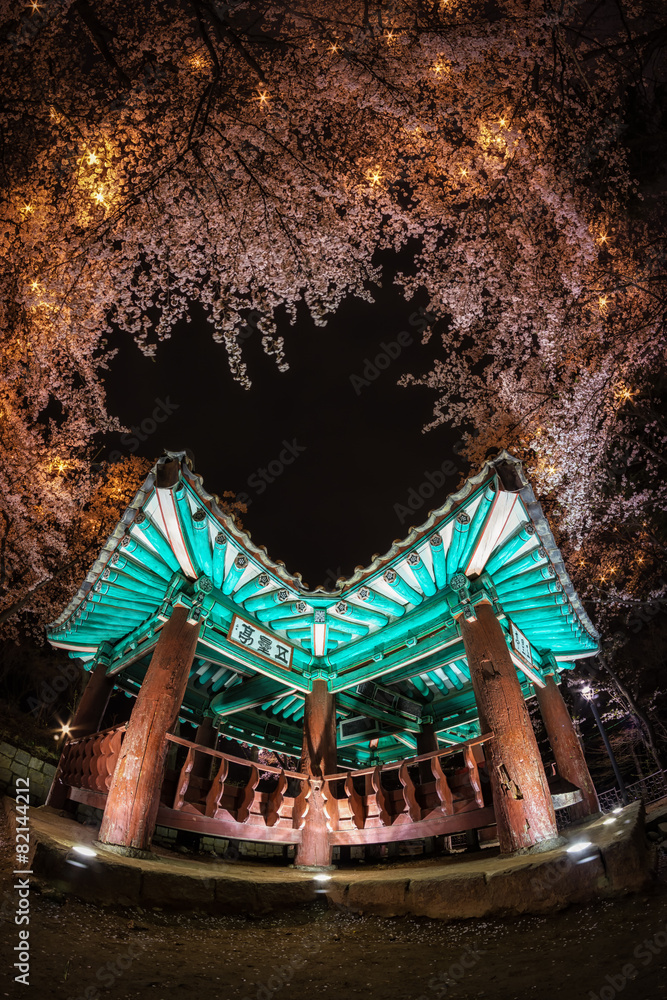 Naklejka premium korean pagoda among cherry blossoms.