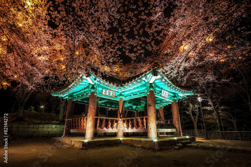korean pagoda among cherry blossoms.