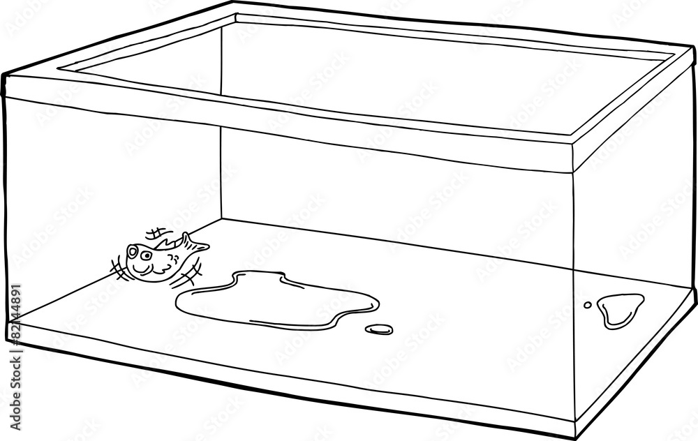 Fototapeta premium Outline of Fish in Empty Tank