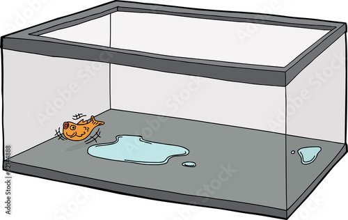 Goldfish Flopping in Empty Tank