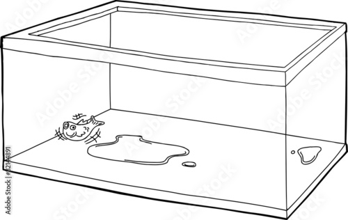 Outline of Fish in Empty Tank