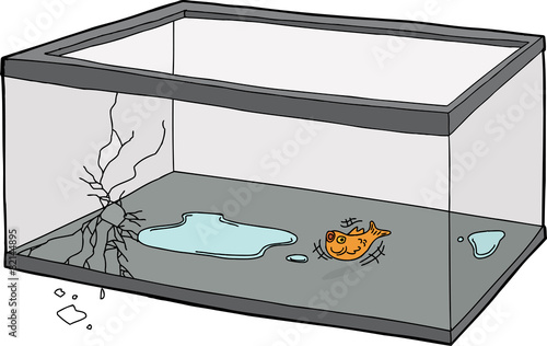 Goldfish Flopping in Empty Tank