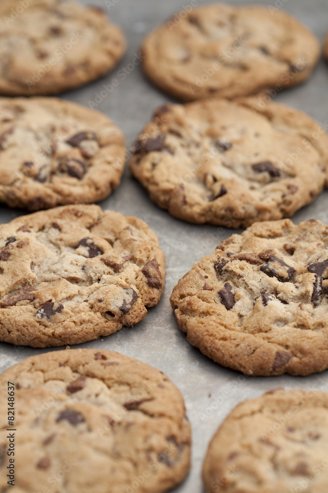 Close up of tray of chocolate chip cookies Close up of tray of chocolate chip cookies