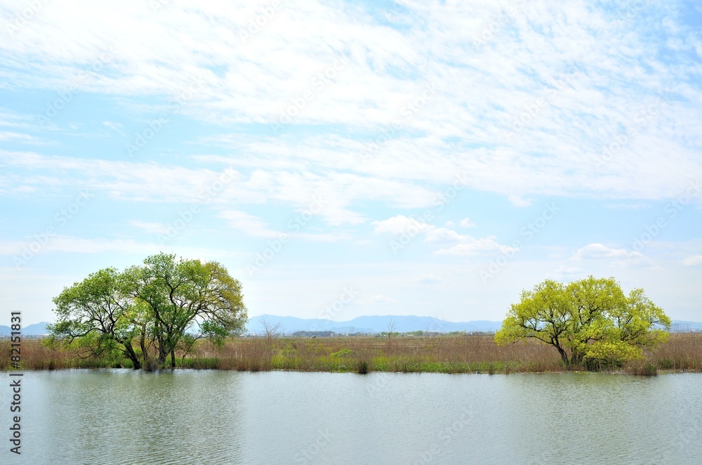 Fototapeta premium 琵琶湖木の浜埋立地