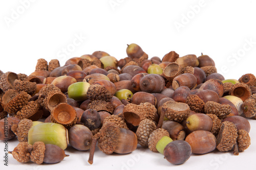 Acorns