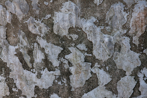 texture of old concrete wall background.
