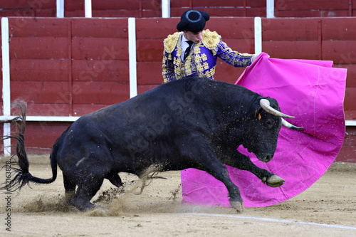 Fotografija Matador in the bullring, the bull fighting