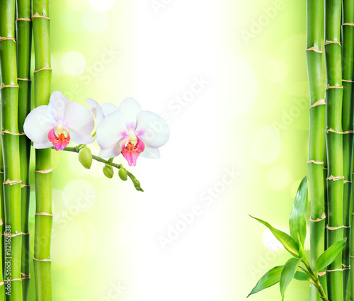 Fototapeta Naklejka Na Ścianę i Meble -  white orchid with bamboo - beauty and spa background