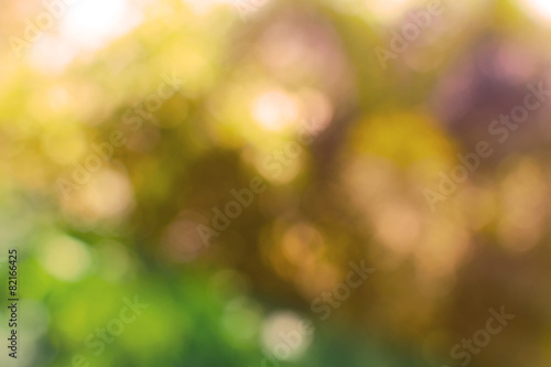 Abstract Blurred background from nature