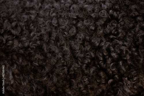 black curly fur close up