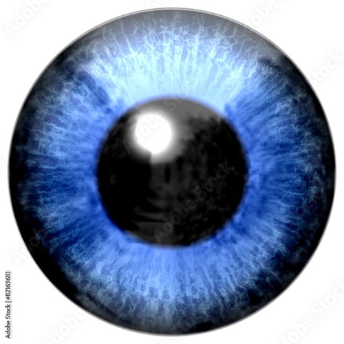 Detail of eye with blue colored iris and black pupil