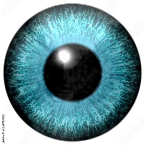 Detail of eye with light blue colored iris and black pupil