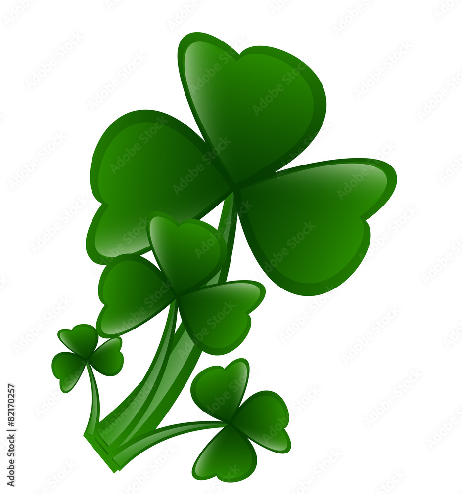 Fototapeta premium Shamrock Leaves Vector Set