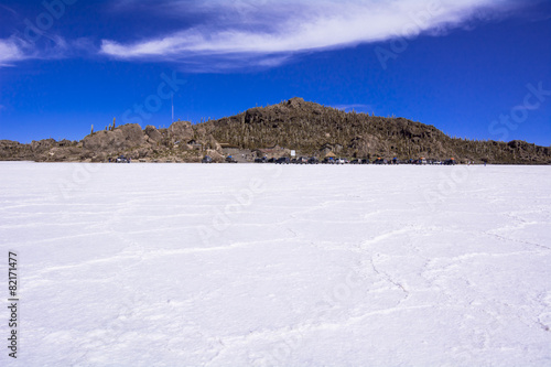 ウユニ塩湖のインカ・ワシ島