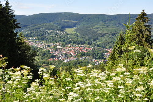 Goldlauter-Heidersbach in Thüringen