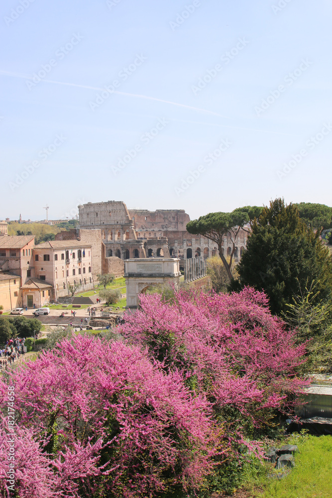 Blick aufs Kolosseum vom Forum Romanum