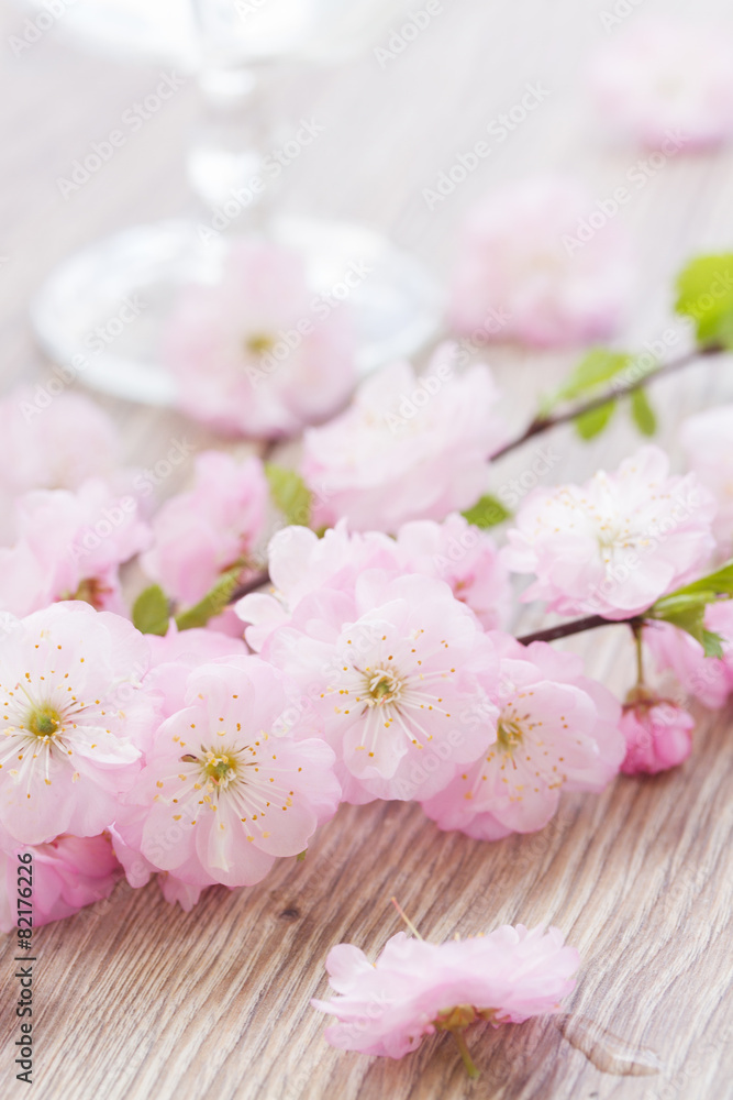 pink cherry flowers