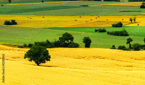 Forca Canapine (Umbria) photo