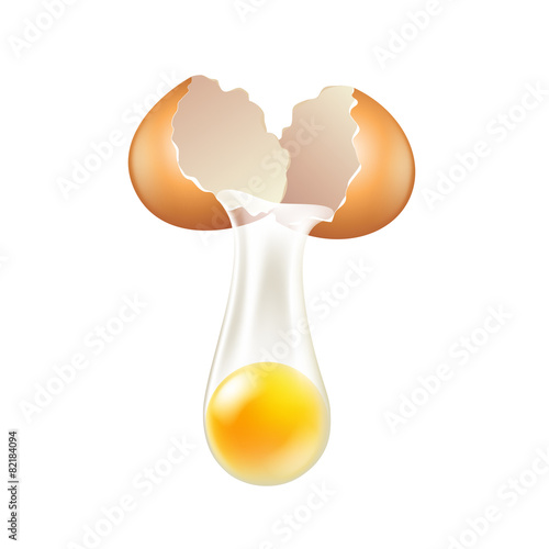 Broken egg shells isolated on white vector