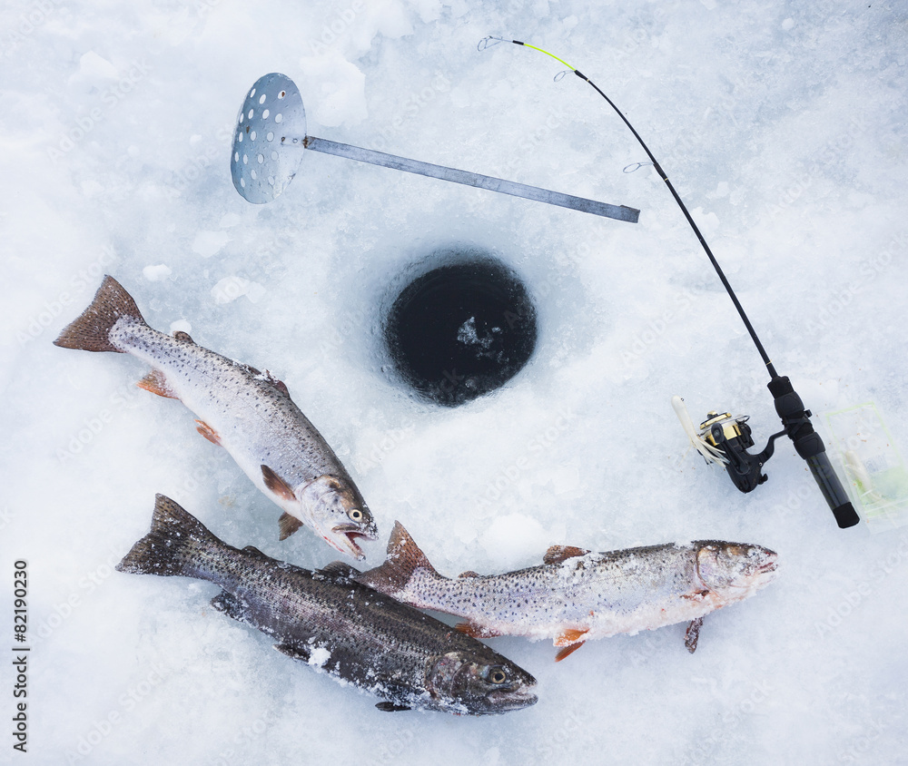 Ice fishing hole, fishing rods and trout Stock Photo