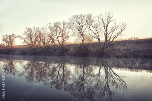 Trees are reflected in water early in morning in spring.