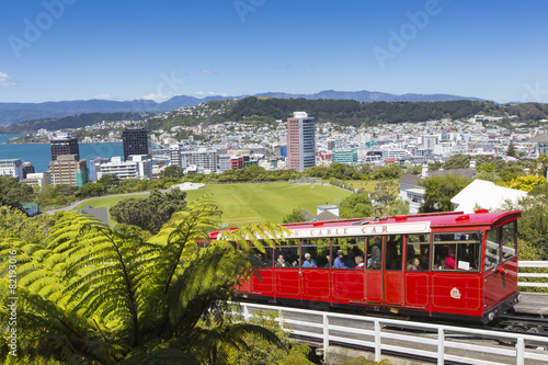 View of the Wellington, New Zealand