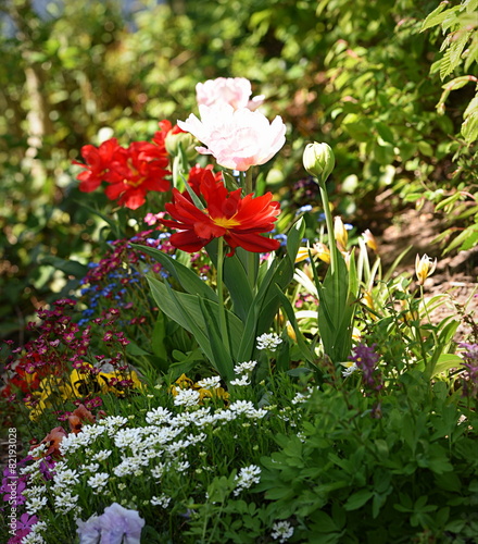 beau jardin fleuri