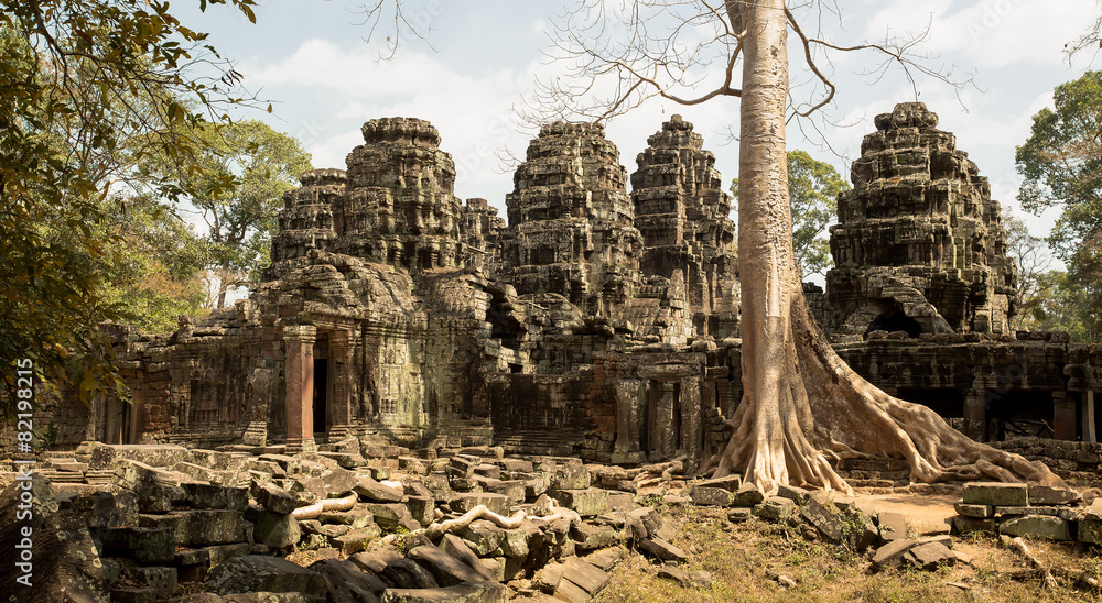 Banteay Kdei panorama with tree and towers
