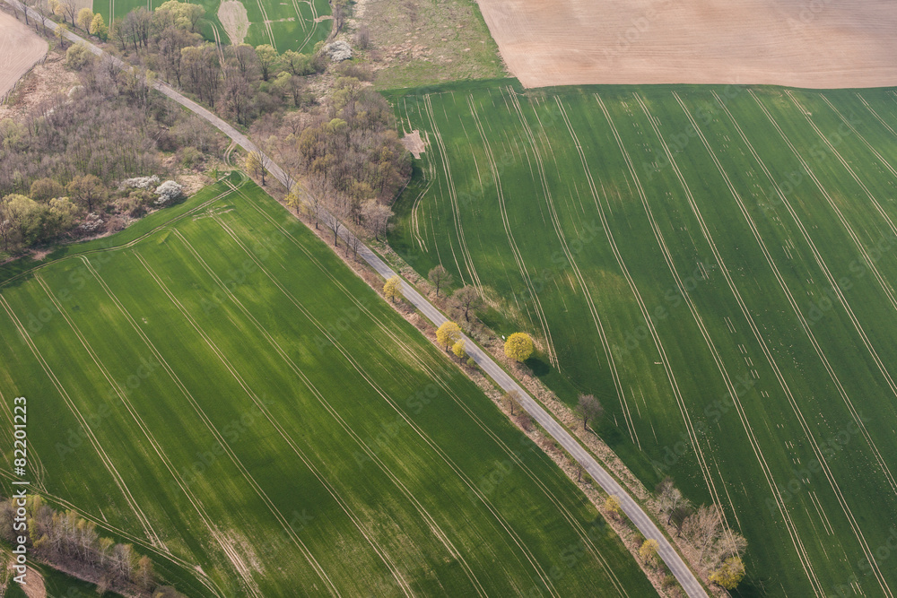 Fototapeta premium aerial view of harvest fields