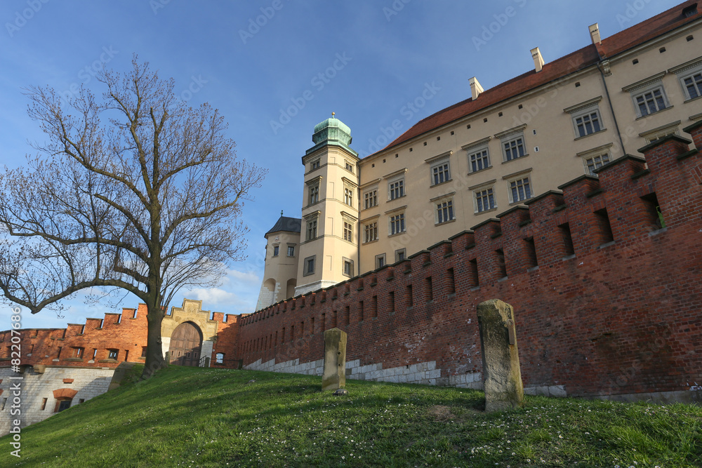 Kraków - Zamek na Wawelu
