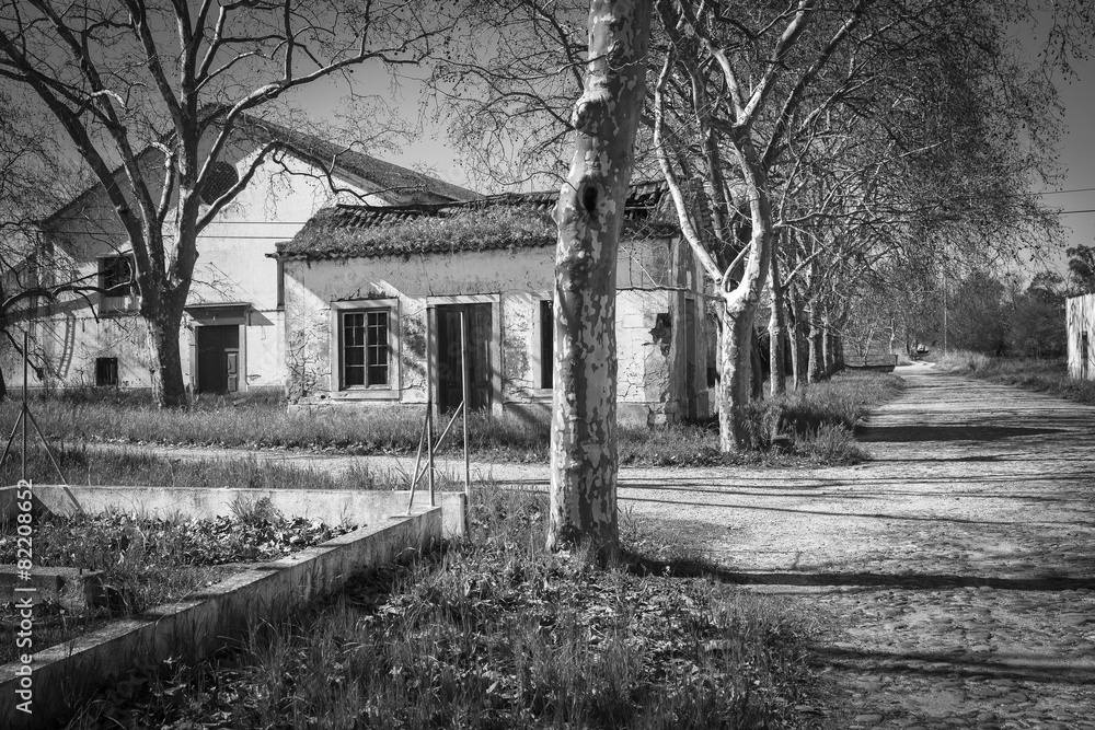 monochrome of an abandoned village