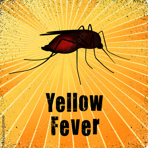 Yellow Fever, blood filled Mosquito, gold ray background