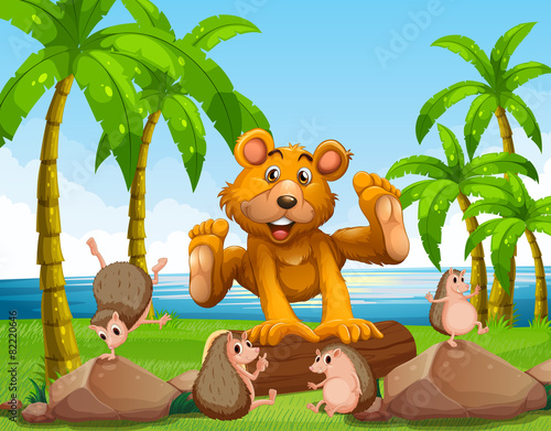 Bear and ocean
