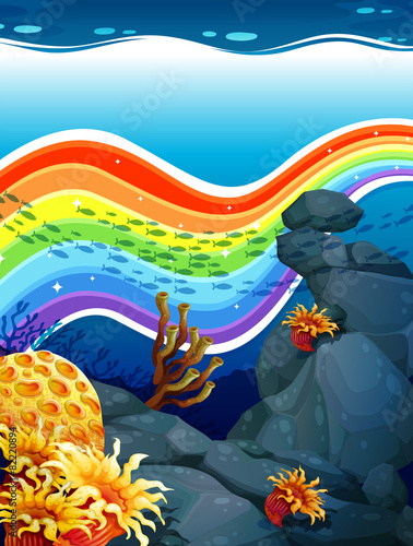 Rainbow underwater