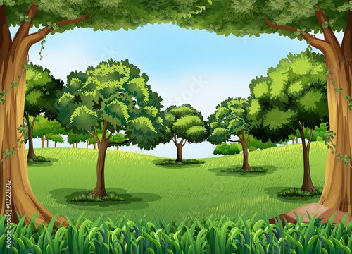 Forest