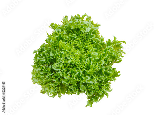 Green salad vegetable isolated