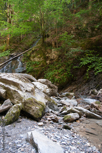 Waterfall and river in forest