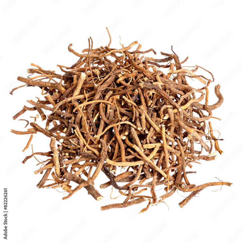 Valerian root for medical use. Isolated. Valerian root for medical use. Isolated.