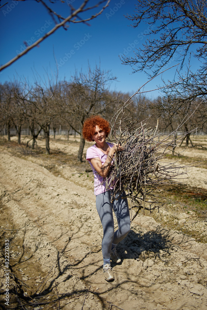 Woman spring cleaning the orchard Woman spring cleaning the orchard