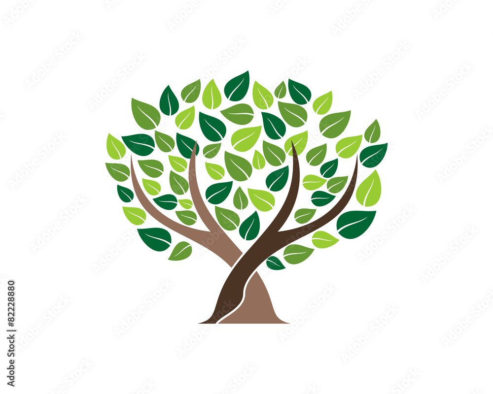 Obraz premium Life Tree Plant