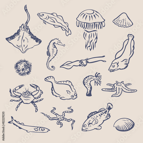 Fish1