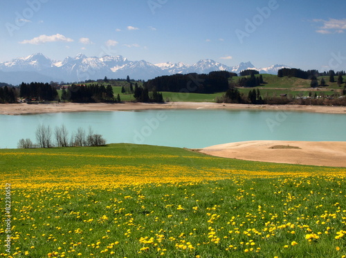 Allgäu, Forggensee, Löwenzahnwiese, Alpen